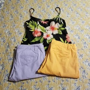 Gap Lilac & Sherbet Straight Leg Khakis Sz 10 / 12